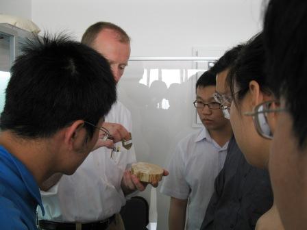 德國RINTECH公司應用科學(xué)家來(lái)到中國林業(yè)科學(xué)院培訓Lignostation年輪密度工作站 德國RINTECH公司應用科學(xué)家來(lái)到中國林業(yè)科學(xué)院培訓Lignostation年輪密度工作站